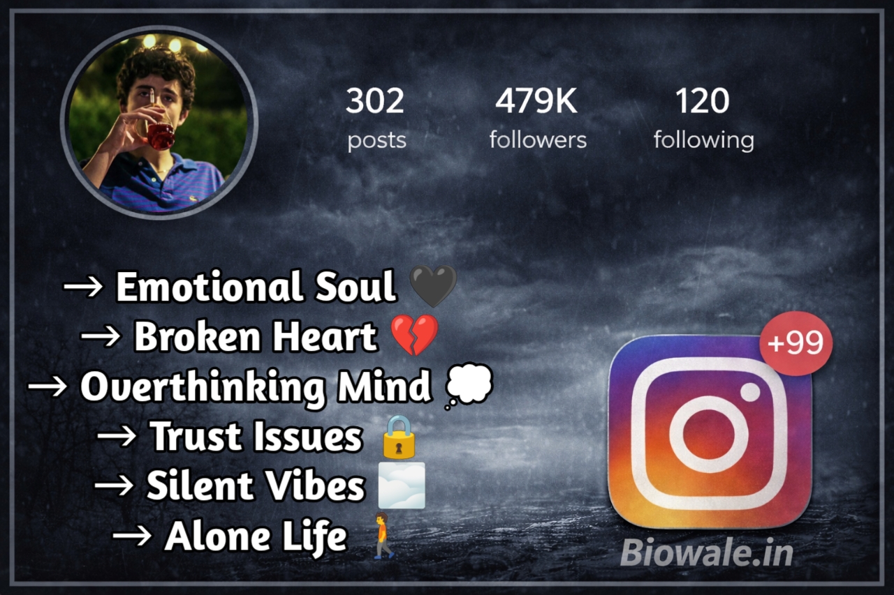 Sad Bio For Instagram